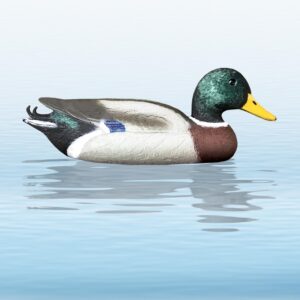 Balabán Mallard Drake kačica divá – kohút-Poľovnícke potreby > Doplnky na lov > Balabány