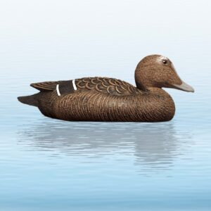 Balabán Eider Hen kajka morská - sliepka-Poľovnícke potreby > Doplnky na lov > Balabány