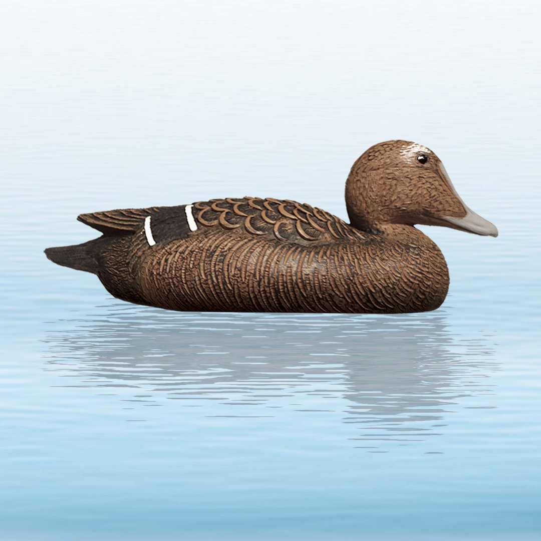 Balabán Eider Hen kajka morská - sliepka-Poľovnícke potreby > Doplnky na lov > Balabány
