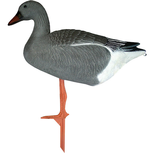 Balabán Bean Goose hus siatinná stojatá-Poľovnícke potreby > Doplnky na lov > Balabány