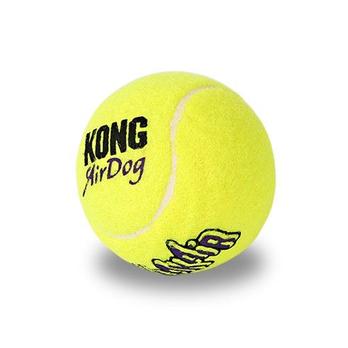 Samostatný podávač loptičiek d-ball UP-Elektronické pomôcky pre výcvik psov Dogtrace – Obrázok 2