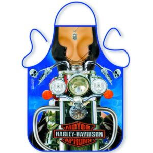 Zástera Harley Davidson – tip na darček